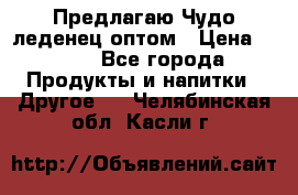 Предлагаю Чудо леденец оптом › Цена ­ 200 - Все города Продукты и напитки » Другое   . Челябинская обл.,Касли г.